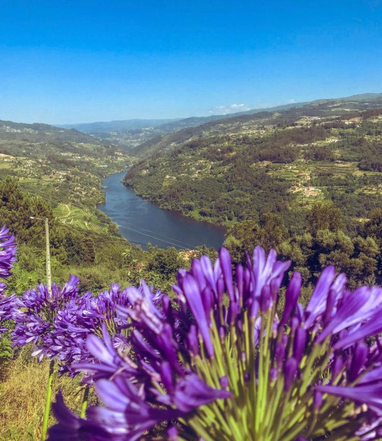 Mira Douro Valley Home Marco de Canavezes Exteriér fotografie